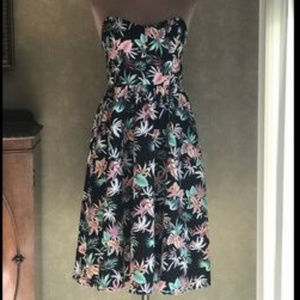 Love Sadie Sz S Floral Botanica Strapless Dress